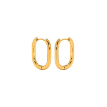 Load image into Gallery viewer, Genuine Hoop Earrings in Gold
