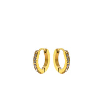 Load image into Gallery viewer, CZ Sparkle Gold Huggie Hoop Earrings
